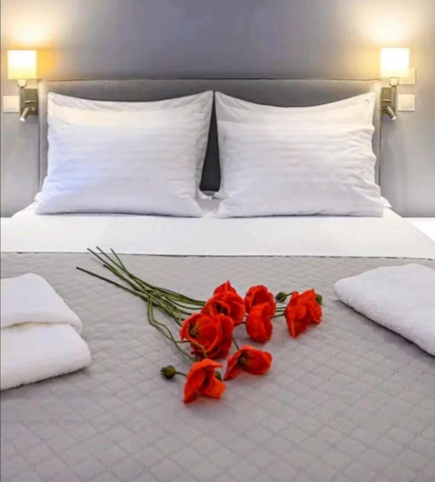 Central-opulent And Luxurious Suites-balcony & Views Acropolis Hills * Atina